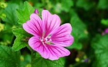 在梦中经历高空物体坠落的含义是什么？