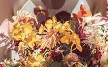 12星座和12生肖之间的最佳配对是什么？一探究竟！