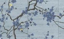 五月出生的虎宝宝男孩，如何选择一个合适的名字？