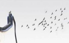 如何命名一个优美的游戏工会名称？