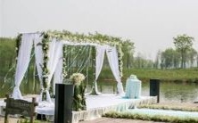 依靠自身才是王道！这些星座缺少安全感，无法寻找避风港