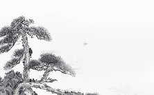 如何为2022年诞生的一只可爱的虎宝宝选择一个合适的名字？