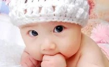 五月里，一只可爱的虎宝宝取名苟姓，名字意义深刻，引发观众热议