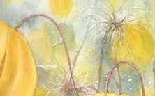 探讨刘家女孩如何在昭字辈中选择合适的名字？