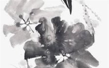 2022年是中国属狗的70周年，来看看这一年属狗的运势如何？