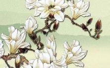 有没有一些好听的微信名字可以让女孩乔起来？