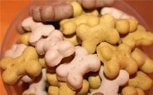 在梦中目睹腐朽的南瓜瓢及其神秘象征意义