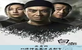 双修神医高手在都市