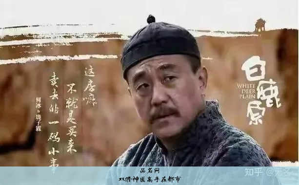 双修神医高手在都市
