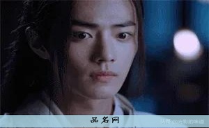 哪个星座最漂亮