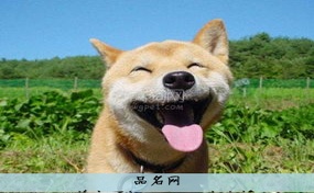 白羊座下午可不可以打麻将