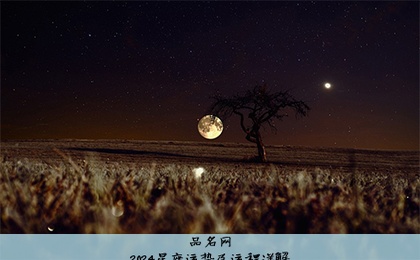 2024星座运势及运程详解