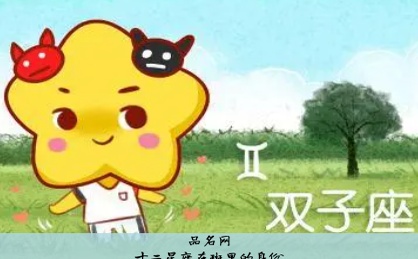 十二星座在班里的身份