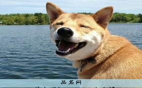 白羊座下午可不可以打麻将