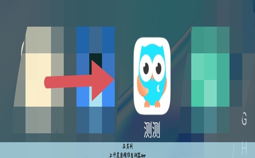 上升星座精准查询器app