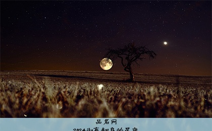 2024彻底翻身的星座