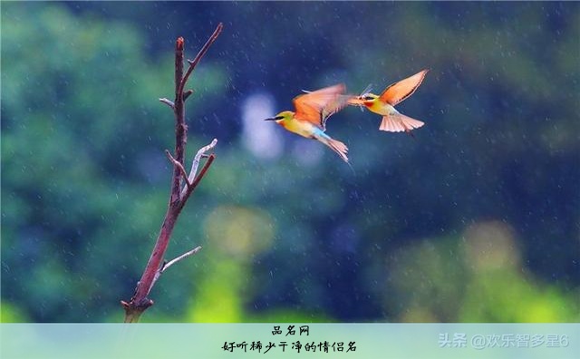好听稀少干净的情侣名