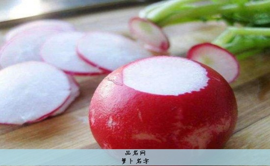 萝卜名字