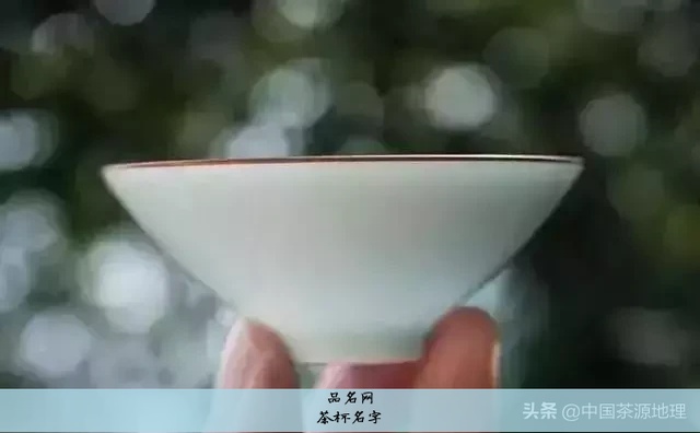 茶杯名字