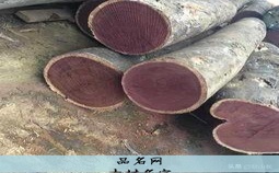 木材名字