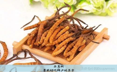 草药好听稀少的名字