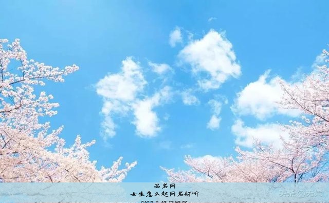 女生怎么起网名好听