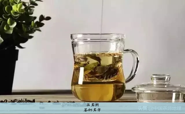 茶杯名字