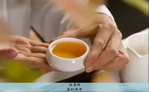 茶杯名字