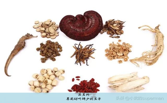 草药好听稀少的名字