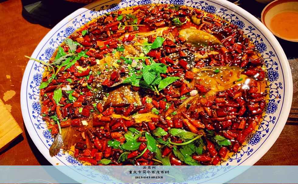重庆市简介百度百科