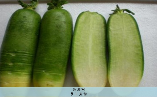 萝卜名字