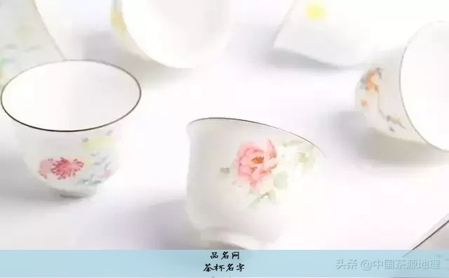 茶杯名字