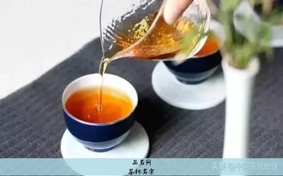 茶杯名字