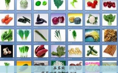 蔬菜的名字都有哪些