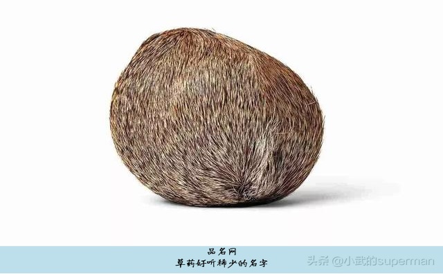 草药好听稀少的名字