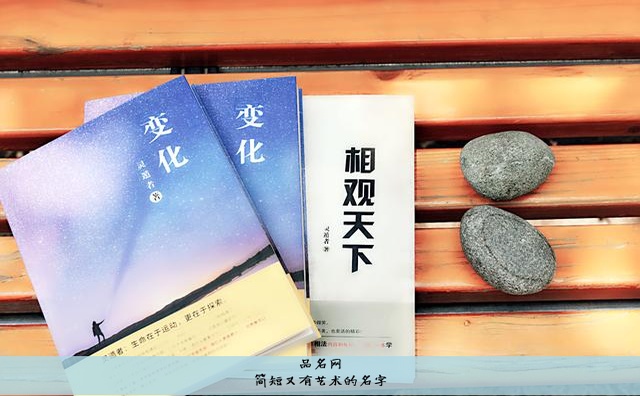 简短又有艺术的名字