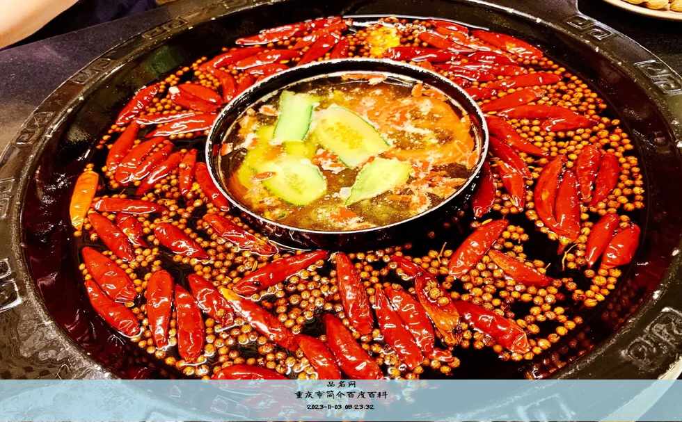 重庆市简介百度百科