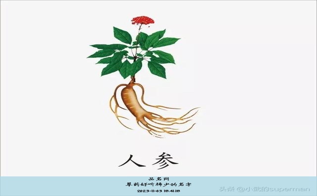 草药好听稀少的名字