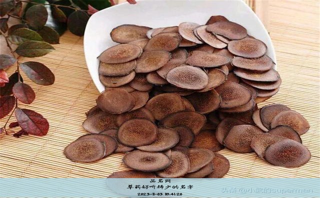 草药好听稀少的名字