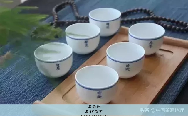 茶杯名字