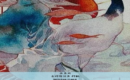 古诗情侣名 押韵