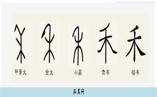 豆 米 草 禾的字形取名字