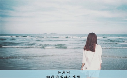 游戏网名骚气类型