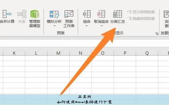 如何使用Excel表格进行分类