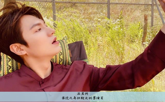 最近几年比较火的男演员
