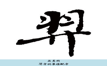 羿字的最佳配字