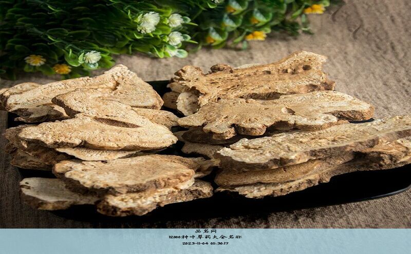 12000种中草药大全名称