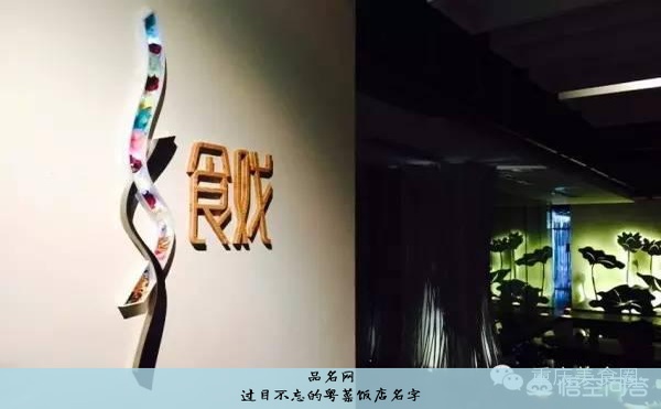 过目不忘的粤菜饭店名字
